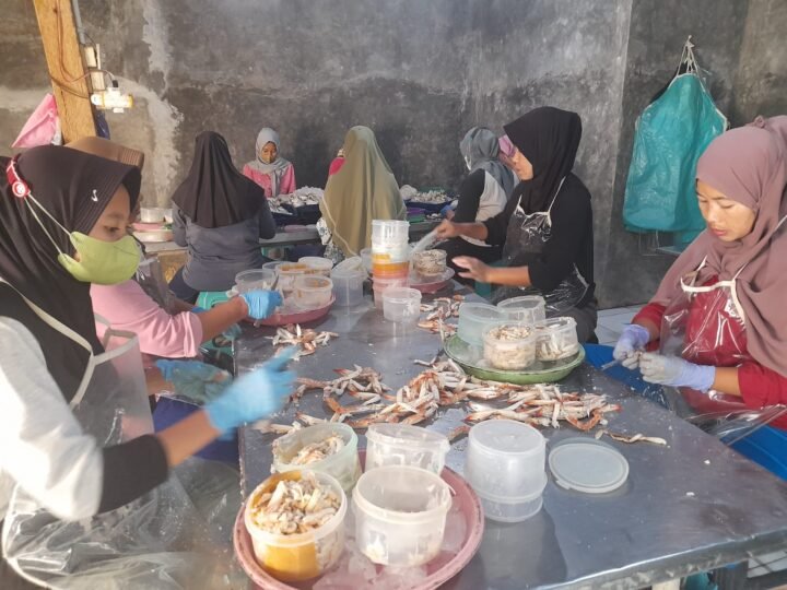 Para perempuan pekerja di sebuah mini plan di Desa Danasari, Pemalang. Di mini plan ini, rajungan direbus, dikupas cangkangnya, dan disortir sesuai dengan standar kelayakan kualitas yang diminta oleh pabrik penerima produk.