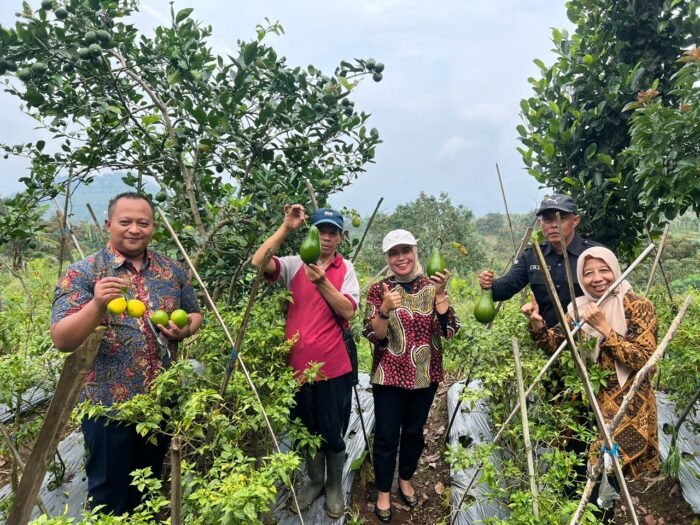 Anggota Komisi B DPRD Provinsi Jawa Tengah, Harun Abdul Khafizh (kiri) saat mengunjungi kelompok tani