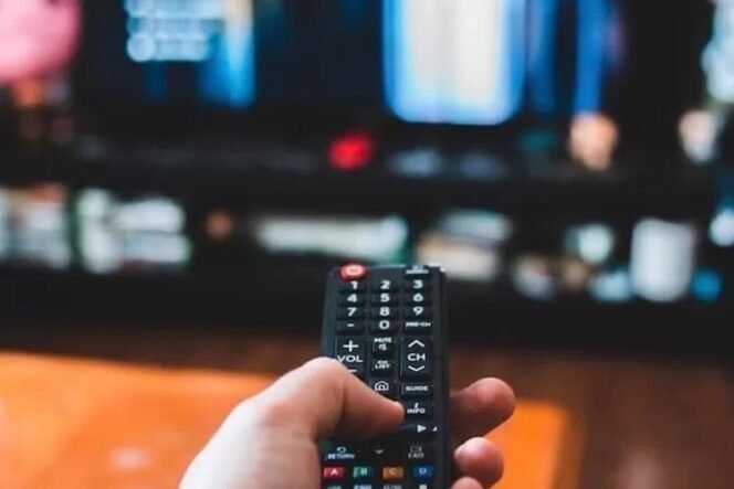 
					ilustrasi sedang menonton tv digital (Pixabay)