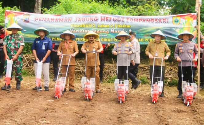 
					Pemkab Pemalang Gandeng Polres Tanam Jagung untuk Tingkatkan Ketahanan Pangan