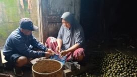 Jahuri Petani di Desa Lebakwangi Jatinegra Turun Menurun Masih Produksi Kolang Kaling hingga Sekarang