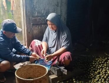 Jahuri Petani di Desa Lebakwangi Jatinegra Turun Menurun Masih Produksi Kolang Kaling hingga Sekarang