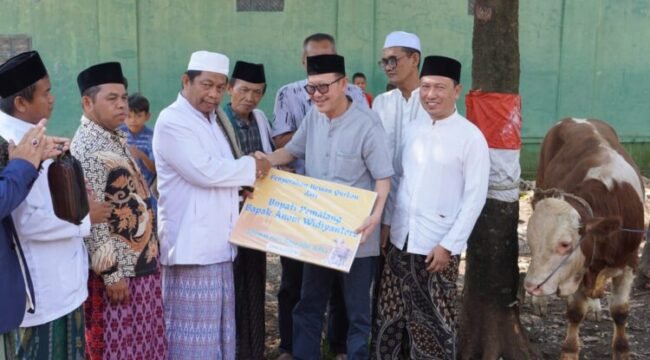 Direktur Utama Perumda Air Minum Tirta Mulia Kabupaten Pemalang, H. Slamet Efendi,SE,MM saat menyalurkan hewan kurban ke panitian kurban di masjid Agung Randudongkal