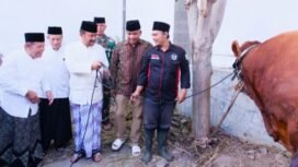 Bupati Pemalang Anom Widiyantoro bersama Forkopimda dan disertai kepala perangkat daerah, berkesempatan menyalurkan hewan kurban Presiden Prabowo berupa satu ekor sapi kepada masyarakat melalui Masjid Nurul Kalam.