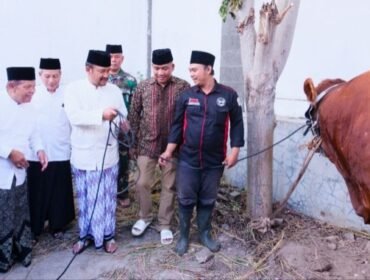 Bupati Pemalang Anom Widiyantoro bersama Forkopimda dan disertai kepala perangkat daerah, berkesempatan menyalurkan hewan kurban Presiden Prabowo berupa satu ekor sapi kepada masyarakat melalui Masjid Nurul Kalam.
