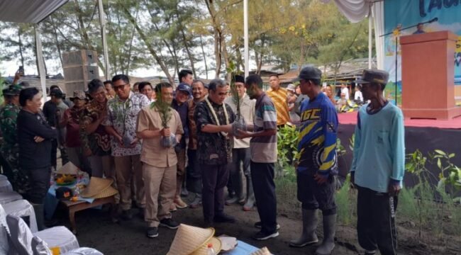 Penyerahan bibit pohon mangrove kepada warga  di Pantai kertosari Ulujami Pemalang