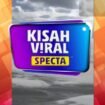 Kisah Viral Specta