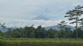 Goa Gunung Wangi (Warta Nasional)