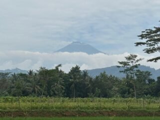 Goa Gunung Wangi (Warta Nasional)
