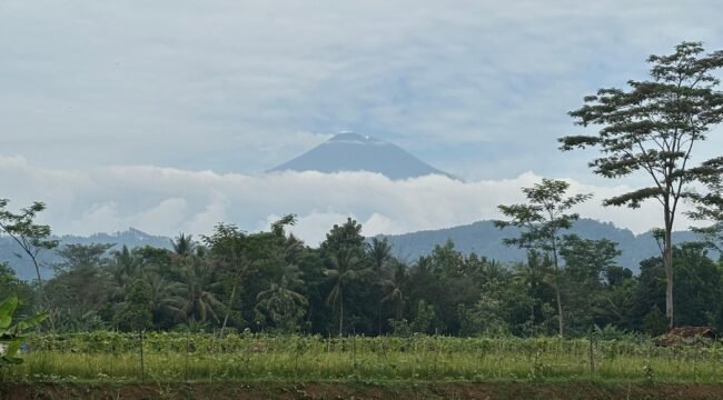 Goa Gunung Wangi (Warta Nasional)