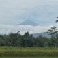 Goa Gunung Wangi (Warta Nasional)