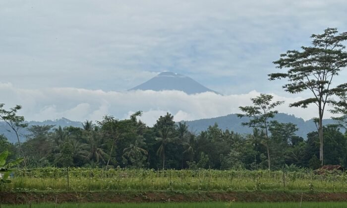 Goa Gunung Wangi (Warta Nasional)