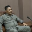 H. Aris Ismail, Wakil Ketua DPRD Kabupaten Pemalang
