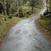 Jalur Gowes Kabupaten Pemalang (Rifqi / Warta Nasional)