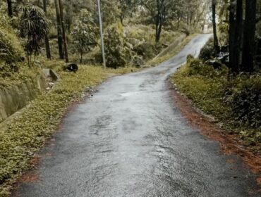 Jalur Gowes Kabupaten Pemalang (Rifqi / Warta Nasional)