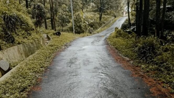 
					Jalur Gowes Kabupaten Pemalang (Rifqi / Warta Nasional)