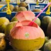 Air Kelapa (IG: @kelapamuda.okey)