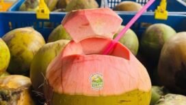 Air Kelapa (IG: @kelapamuda.okey)