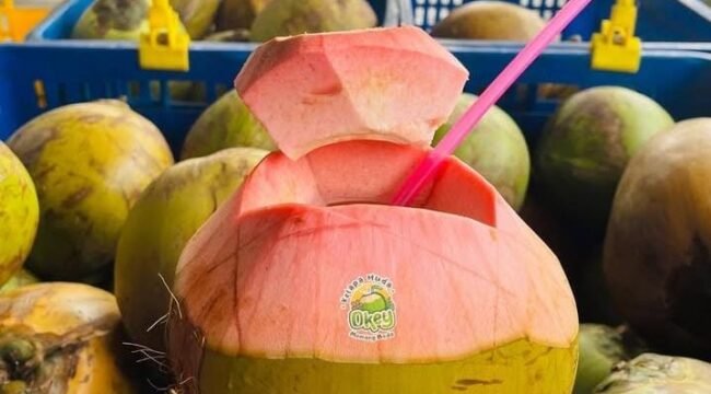 Air Kelapa (IG: @kelapamuda.okey)
