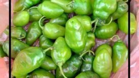 Cabe Gendot (IG: @dapurmakuneh)