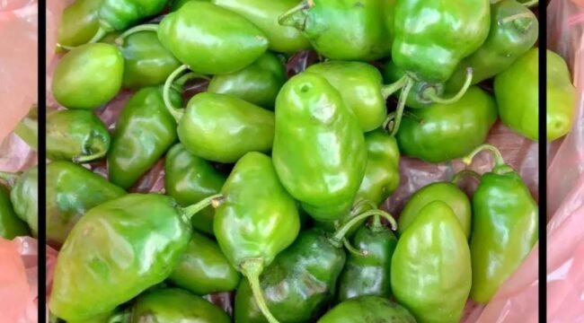 Cabe Gendot (IG: @dapurmakuneh)