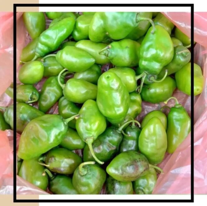 
					Cabe Gendot (IG: @dapurmakuneh)