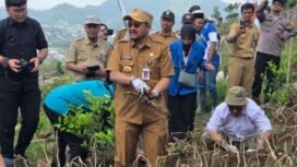 Panen Raya Kentang Industri Lokal Multifikasi G0 Chitra” di lahan pertanian wisata Igir Kandang Desa Clekatakan,