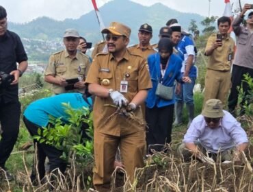 Panen Raya Kentang Industri Lokal Multifikasi G0 Chitra” di lahan pertanian wisata Igir Kandang Desa Clekatakan,