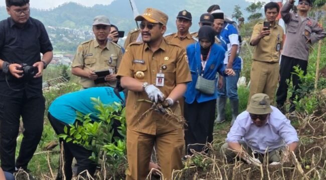 Panen Raya Kentang Industri Lokal Multifikasi G0 Chitra” di lahan pertanian wisata Igir Kandang Desa Clekatakan,