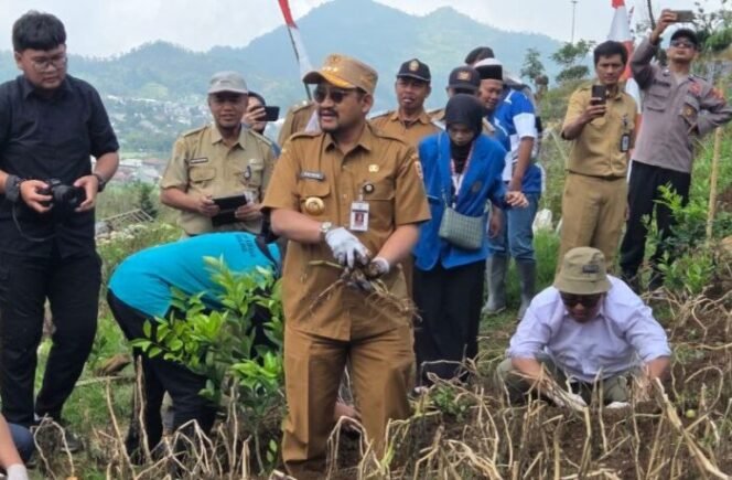 
					Panen Raya Kentang Industri Lokal Multifikasi G0 Chitra” di lahan pertanian wisata Igir Kandang Desa Clekatakan,