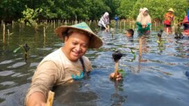 Anggota Komisi B DPRD Jawa Tengah, Harun Abdul Hafizh saat menamam mangrove di Wilayah Desa Mulyorejo dan Jeruksari Kecamatan Tirto Kabupaten Pekalongan, pada Rabu 15 Oktober 2025.