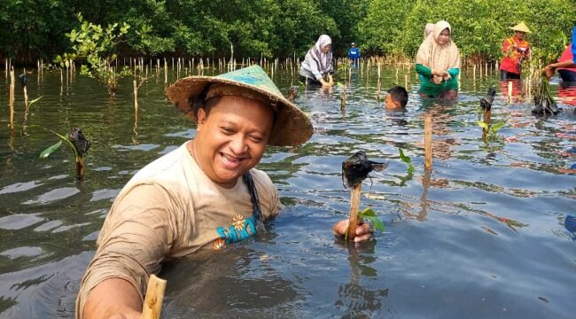 Anggota Komisi B DPRD Jawa Tengah, Harun Abdul Hafizh saat menamam mangrove di Wilayah Desa Mulyorejo dan Jeruksari Kecamatan Tirto Kabupaten Pekalongan, pada Rabu 15 Oktober 2025.