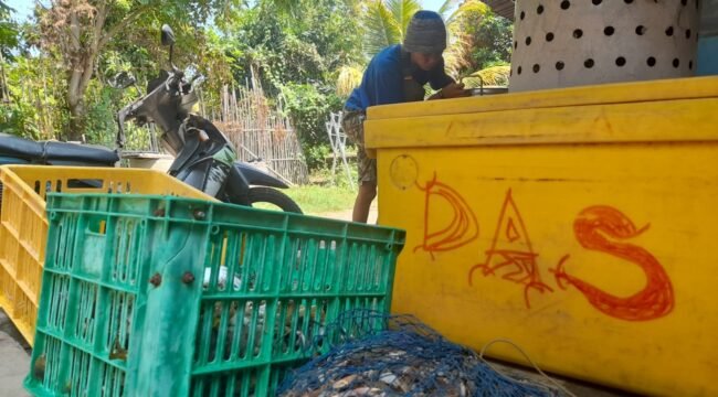 terkenal sebagai Desa sentra tangkapan ikan dan rajungan, Desa Danasari mempunyai potensi besar sebagai desa pengembang inovasi pangan bernilai tambah dari hasil laut