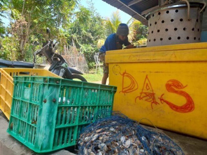 terkenal sebagai Desa sentra tangkapan ikan dan rajungan, Desa Danasari mempunyai potensi besar sebagai desa pengembang inovasi pangan bernilai tambah dari hasil laut