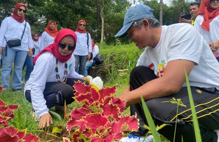 Gandeng PWI, TP PKK Pemalang Adakan Penanaman Pohon di kawasan Objek Wisata Bukit Tangkeban
