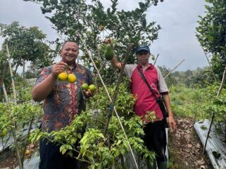 Anggota Komisi B DPRD Provinsi Jawa Tengah, Harun Abdul Khafizh (kiri) saat mengunjungi kelompok tani