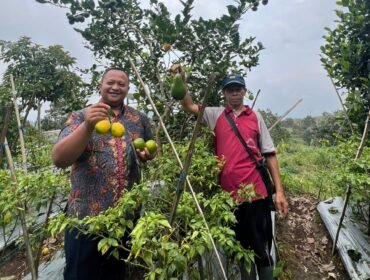 Anggota Komisi B DPRD Provinsi Jawa Tengah, Harun Abdul Khafizh (kiri) saat mengunjungi kelompok tani