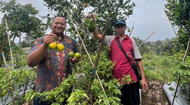 Anggota Komisi B DPRD Provinsi Jawa Tengah, Harun Abdul Khafizh (kiri) saat mengunjungi kelompok tani
