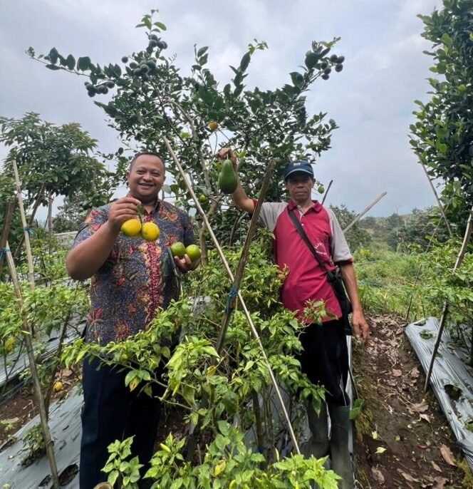 
					Anggota Komisi B DPRD Provinsi Jawa Tengah, Harun Abdul Khafizh (kiri) saat mengunjungi kelompok tani
