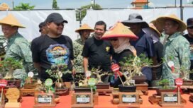 512 Pecinta Bonsai Ikuti Kontes Bonsai Tingkat Nasional di Pemalang