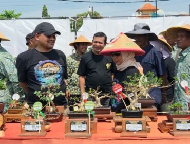 512 Pecinta Bonsai Ikuti Kontes Bonsai Tingkat Nasional di Pemalang