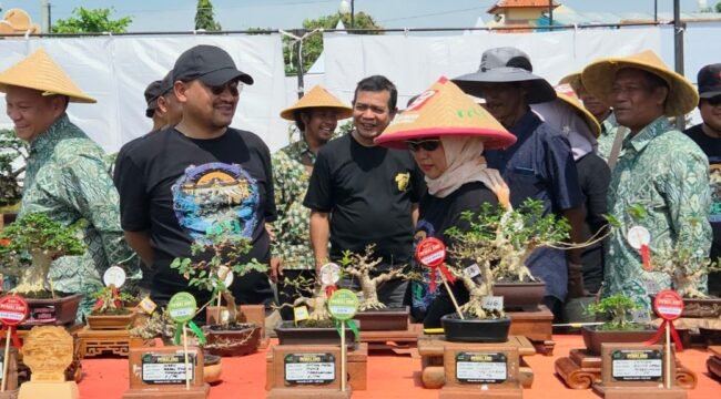 512 Pecinta Bonsai Ikuti Kontes Bonsai Tingkat Nasional di Pemalang