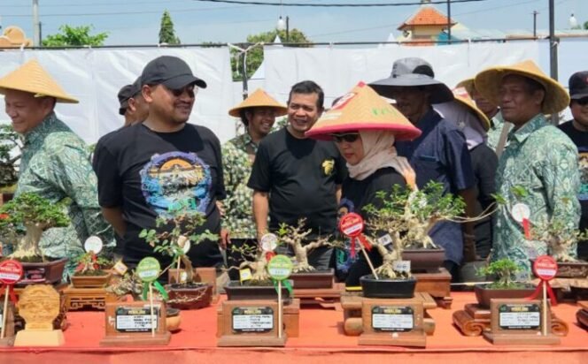 
					512 Pecinta Bonsai Ikuti Kontes Bonsai Tingkat Nasional di Pemalang