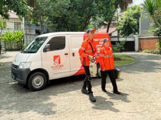 Jasa Pengendali Hama Profesional