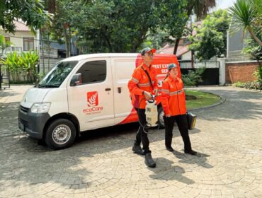 Jasa Pengendali Hama Profesional