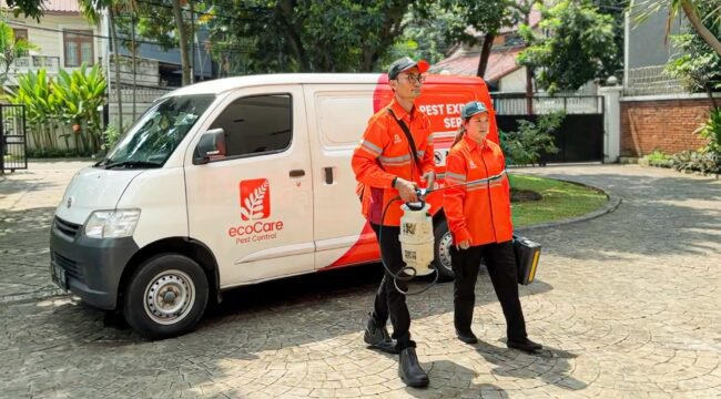 Jasa Pengendali Hama Profesional