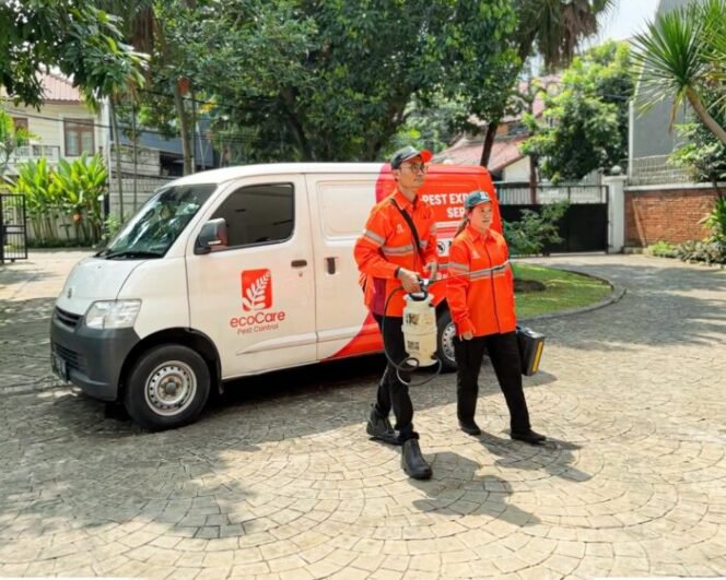 
					Jasa Pengendali Hama Profesional