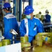 Pertamina Tambah Pasokan LPG 3 Kg di Jateng-DIY Jelang Idul Adha, Masyarakat Diminta Tak Panik