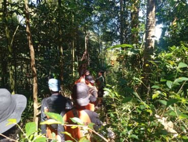 Pencarian Hari Kedua Lansia Hilang di Hutan Wanatirta Brebes Masih Nihil, Tim SAR Lanjutkan Operasi