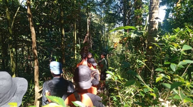 Pencarian Hari Kedua Lansia Hilang di Hutan Wanatirta Brebes Masih Nihil, Tim SAR Lanjutkan Operasi